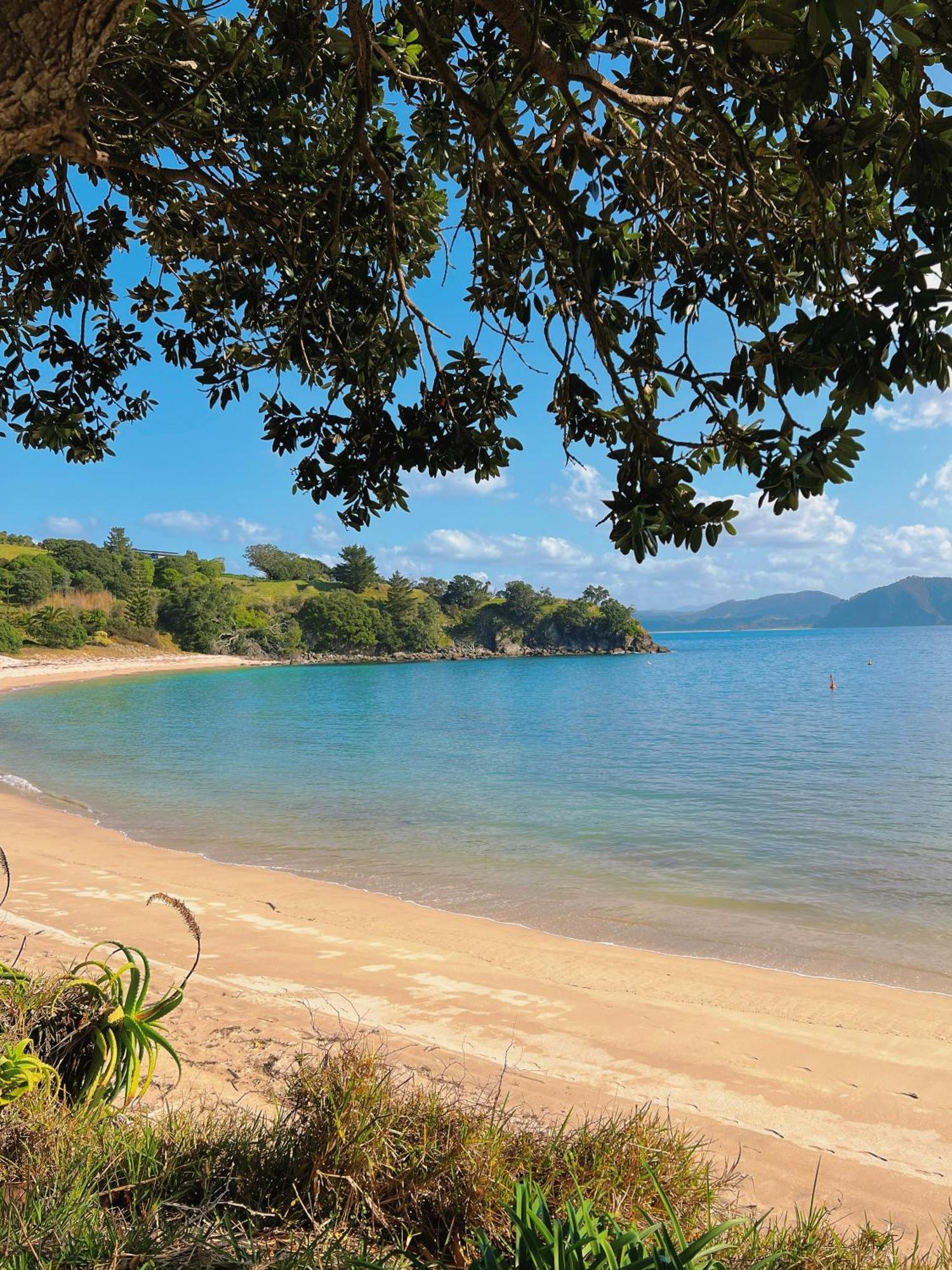 Slipper Island Resort Поани Экстерьер фото