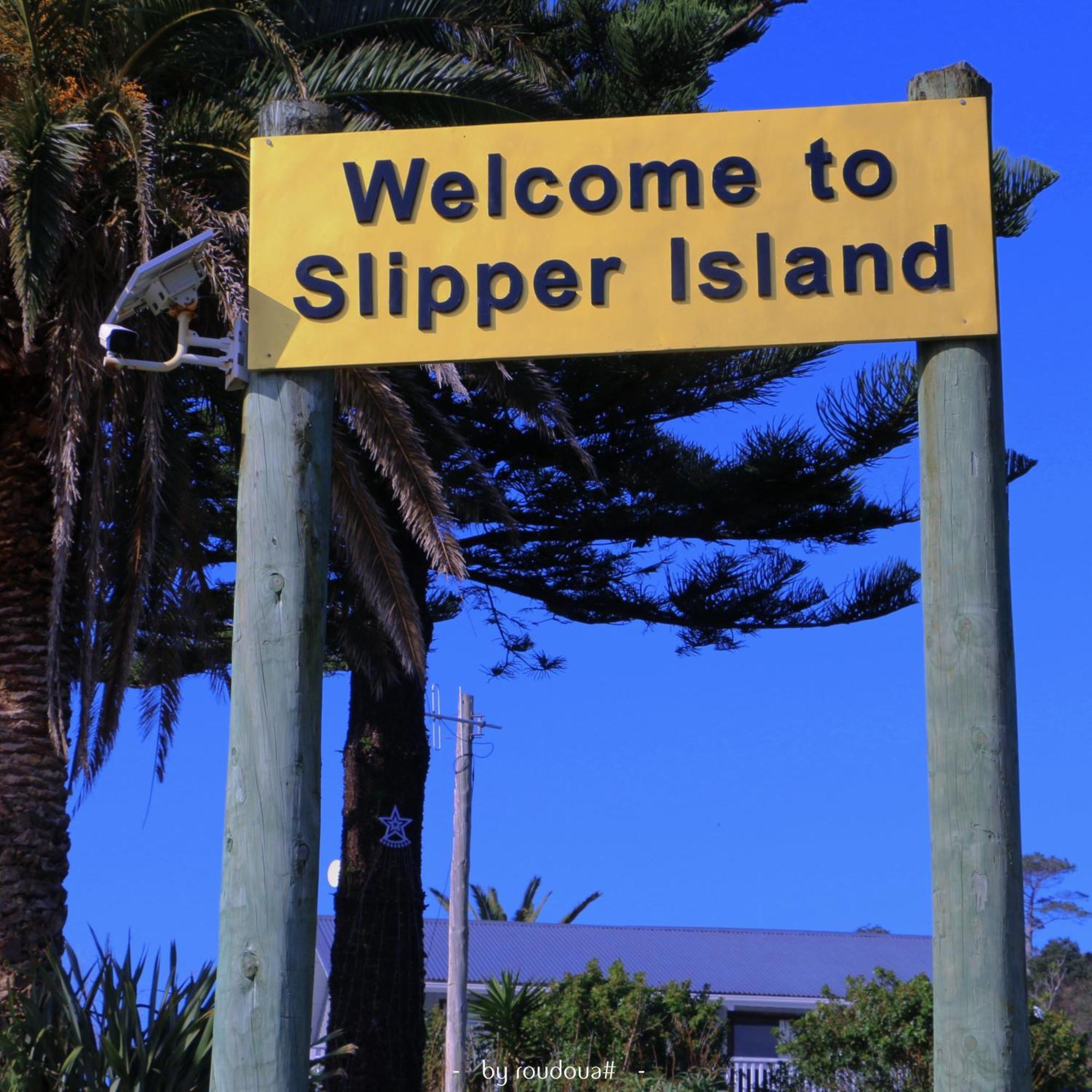Slipper Island Resort Поани Экстерьер фото